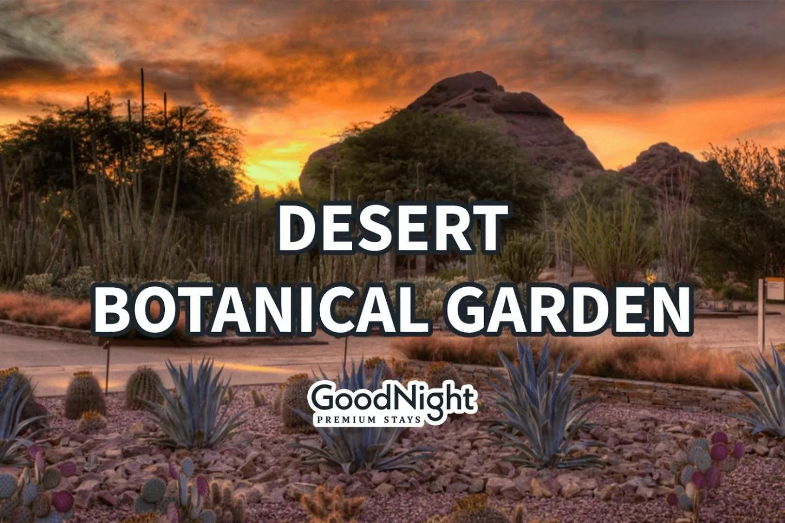 Semesterbostad Elysium - Pool & Spa - Mins To Scottsdale Stadium
